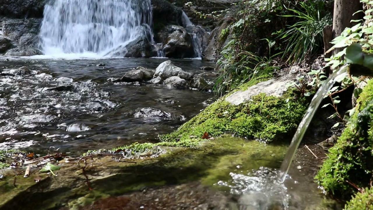 Fior D'Arancio Villa Амалфи Екстериор снимка